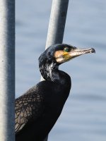 DSC_1705.jpg