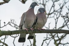 DSC_7465.jpg
