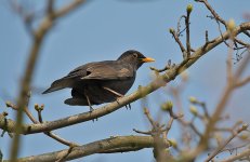 DSC_7490.jpg