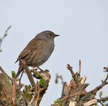 DSC_7510.jpg