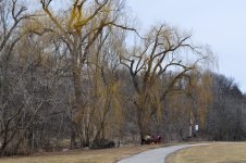 untitled shoot-0207.jpg