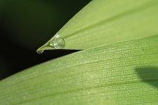 DSC_1843.jpg