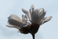 DSC_1836.jpg