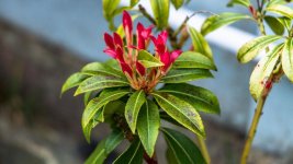 DSC_5191.jpg