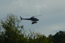 Flying High.jpg