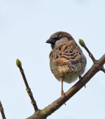 DSC_7522.jpg