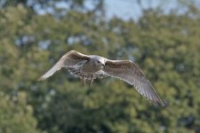 DSC_7640.jpg