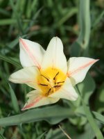 DSC_1968.jpg