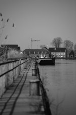 DSC_1962.jpg