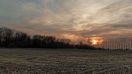 503_8165-1-1.jpg