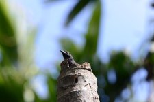 DSC_1547.jpg