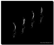 DSC_5210_AllFour_Web.jpg