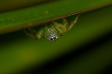 DSC_9399.jpg