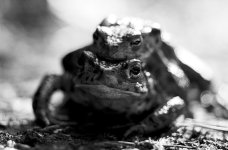 Untitled-5.jpg
