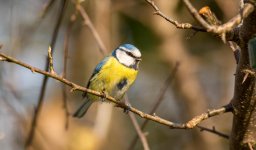 DSC_7278.jpg