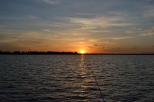 DSC_0198_01.jpg