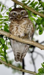 FSC_8525.jpg