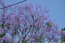 FSC_8388.jpg