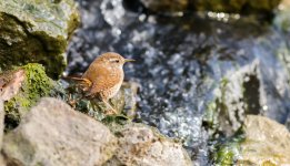 DSC_7223.jpg