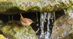 DSC_7238.jpg