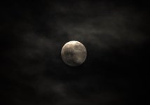_DSC0918.jpg