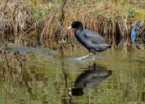 DSC_1777.jpg
