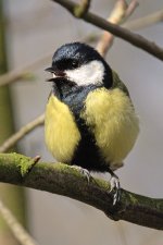 DSC_2039.jpg