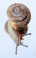 DAH_5058-3.jpg