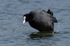 DSC_2094.jpg