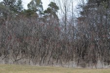untitled shoot-0205.jpg
