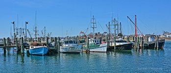 Boats.jpg