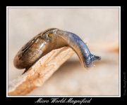 DSC_6045_Web.jpg