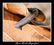 DSC_6051_Web.jpg