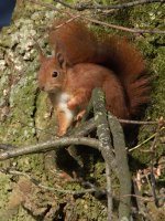 DSC_2423-1.jpg