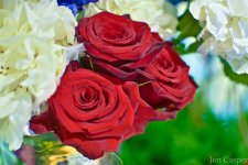 three_roses.jpg
