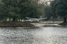 DSC_7950.jpg