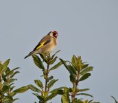 DSC_7824.jpg
