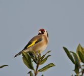 DSC_7828.jpg
