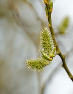 DSC_7854.jpg