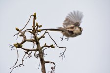 DSC_7893.jpg