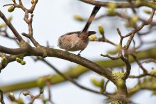 DSC_7910.jpg