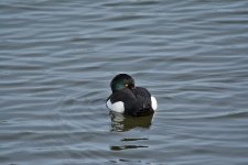 DSC_7843.jpg