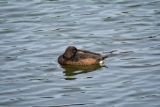 DSC_7845.jpg
