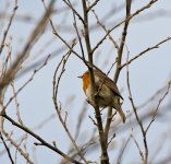 DSC_7862.jpg