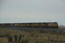 DSC_4252.jpg
