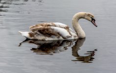 DSC_1889.jpg