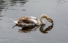 DSC_1890.jpg