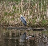 DSC_1862.jpg