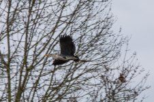 DSC_1882.jpg