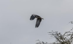 DSC_1883.jpg